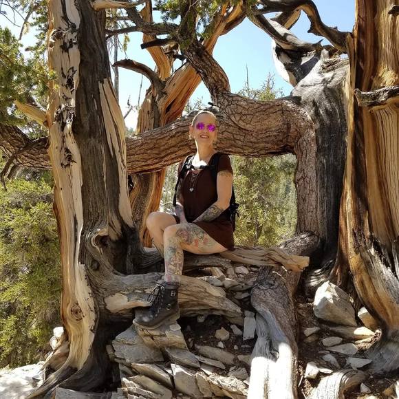 Meet your Posher, Linda - Picture 1 of 1